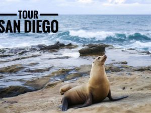 Tour San Diego