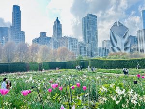 Tour Chicago